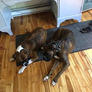 Meet your Posher, Gabriel